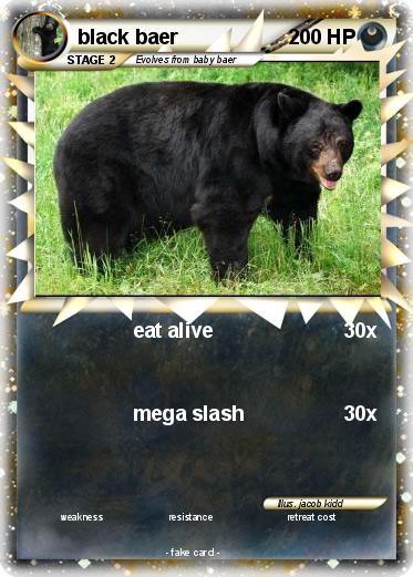 Pokemon black baer