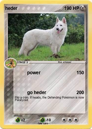 Pokemon heder