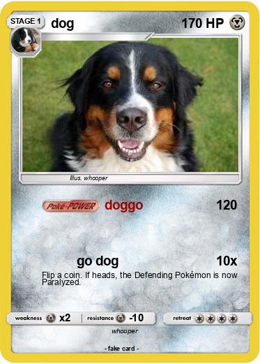 Pokemon dog