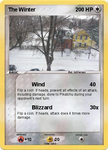 Pokemon The Winter