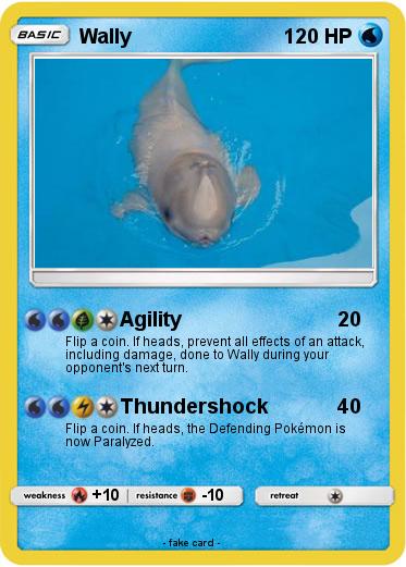 Pokemon Wally