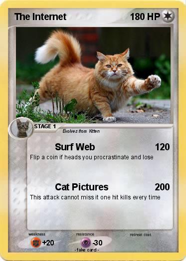 Pokemon The Internet