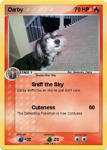 Pokemon Darby