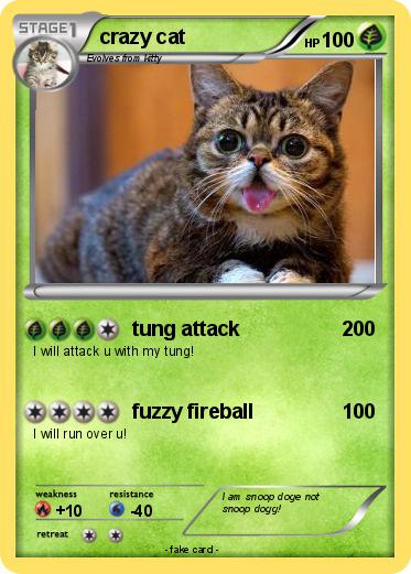 Pokemon crazy cat
