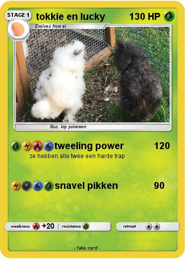 Pokemon tokkie en lucky