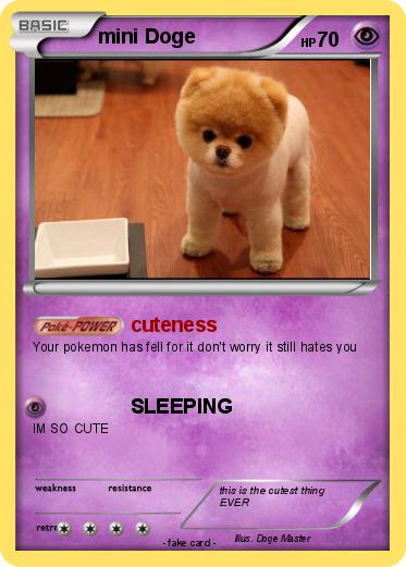 Pokemon mini Doge