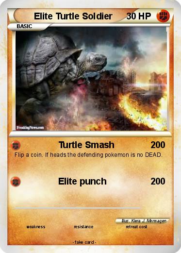 Pokemon Elite Turtle Soldier