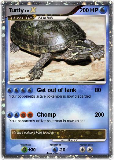 Pokemon Turtly