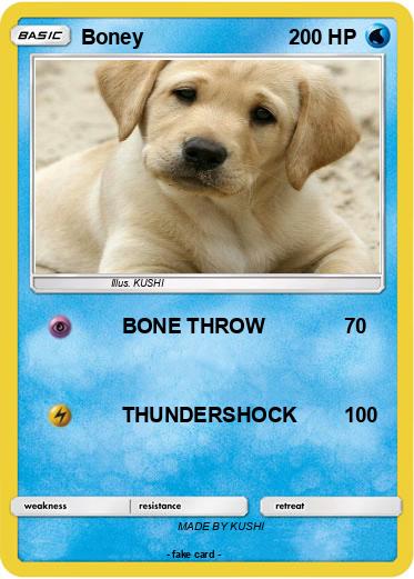Pokemon Boney