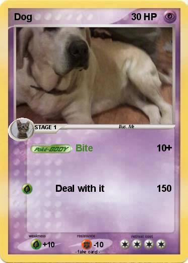Pokemon Dog