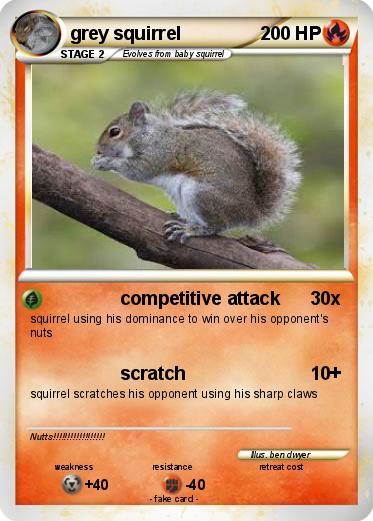 Pokemon grey squirrel