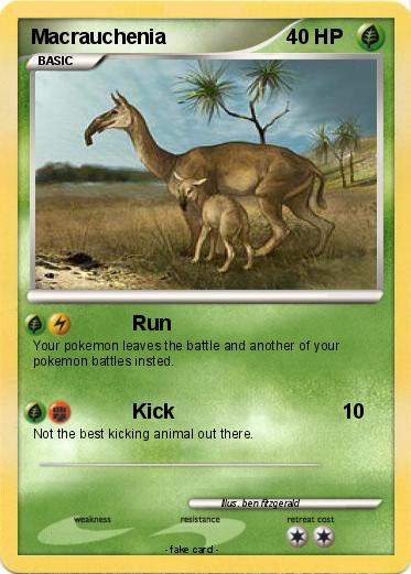 Pokemon Macrauchenia