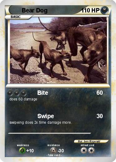 Pokemon Bear Dog