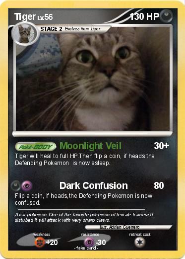 Pokemon Tiger
