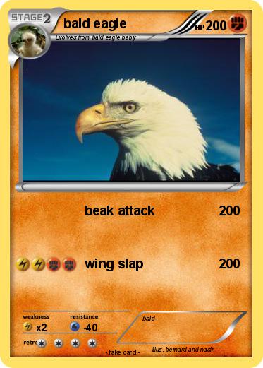 Pokemon bald eagle