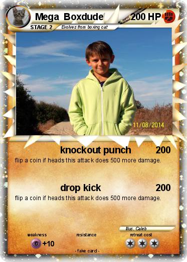Pokemon Mega  Boxdude