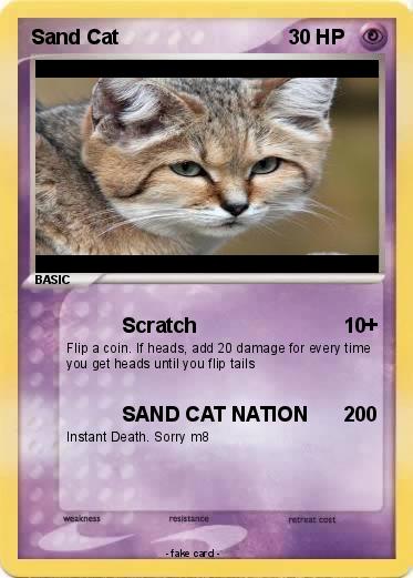 Pokemon Sand Cat