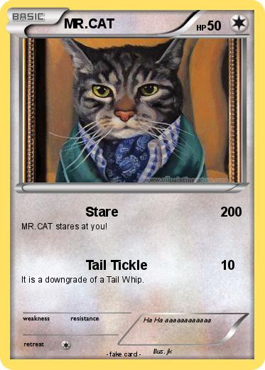 Pokemon MR.CAT