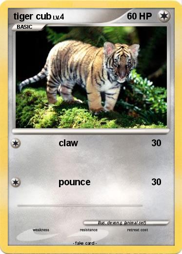 Pokemon tiger cub