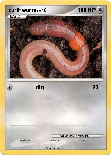 Pokemon earthworm