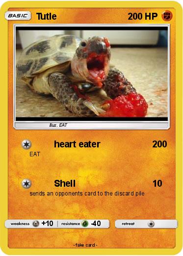 Pokemon Tutle