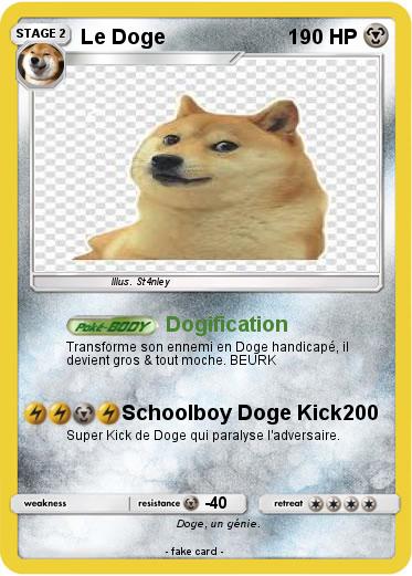 Pokemon Le Doge