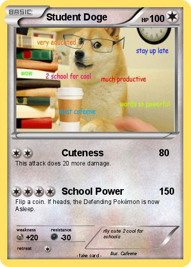 Pokemon Student Doge