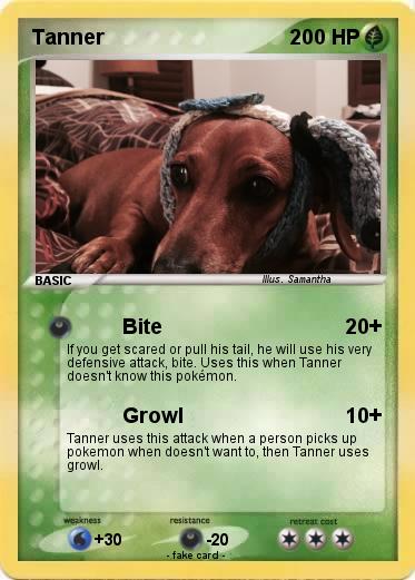 Pokemon Tanner
