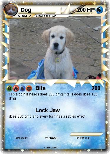 Pokemon Dog