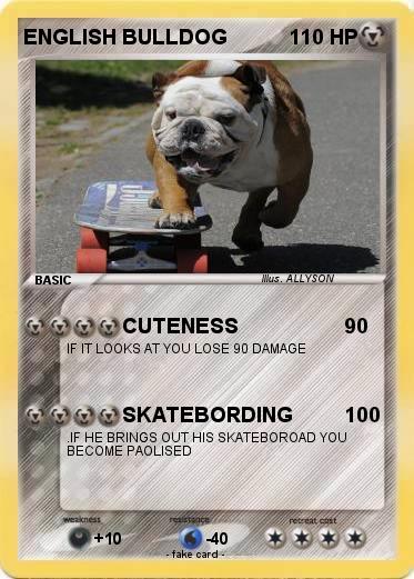 Pokemon ENGLISH BULLDOG