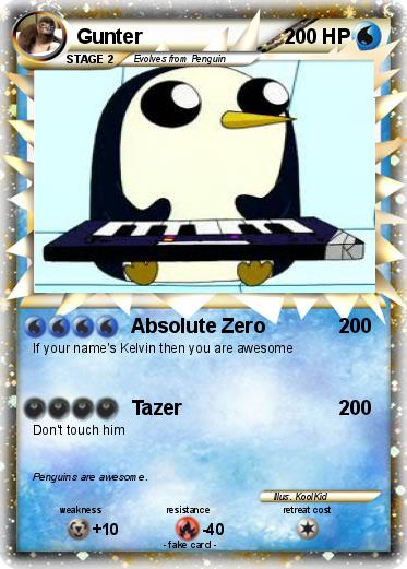 Pokemon Gunter