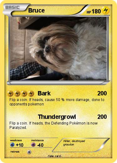 Pokemon Bruce