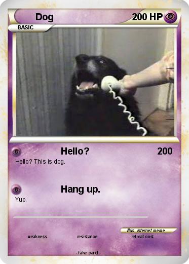 Pokemon Dog