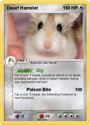Pokemon Dwarf Hamster