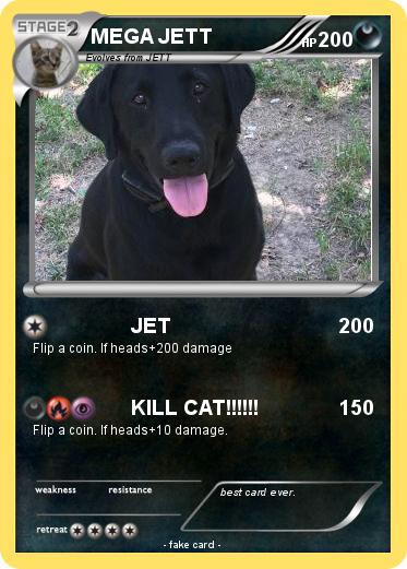 Pokemon MEGA JETT