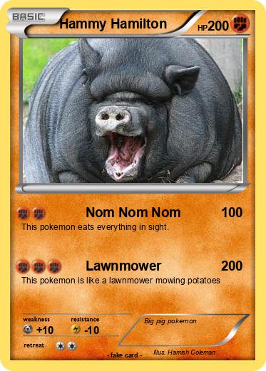 Pokemon Hammy Hamilton