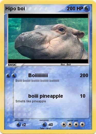 Pokemon Hipo boi