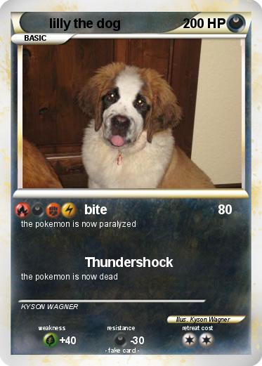 Pokemon lilly the dog