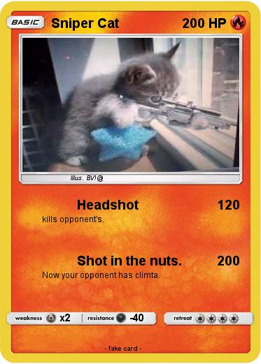 Pokemon Sniper Cat
