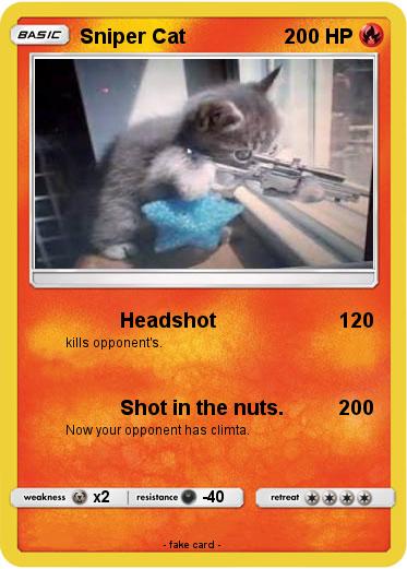 Pokemon Sniper Cat