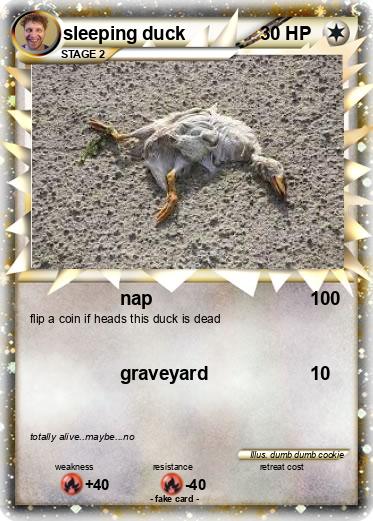 Pokemon sleeping duck