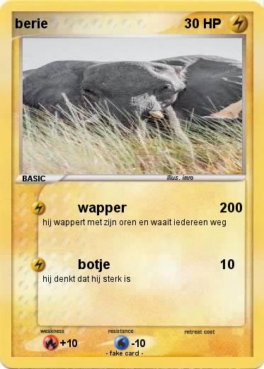 Pokemon berie