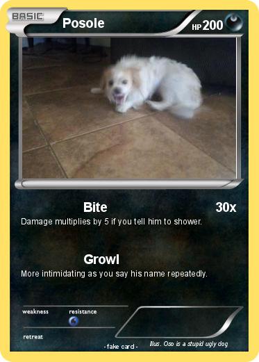 Pokemon Posole