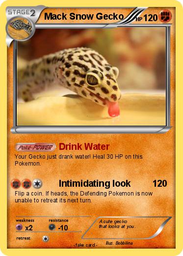 Pokemon Mack Snow Gecko