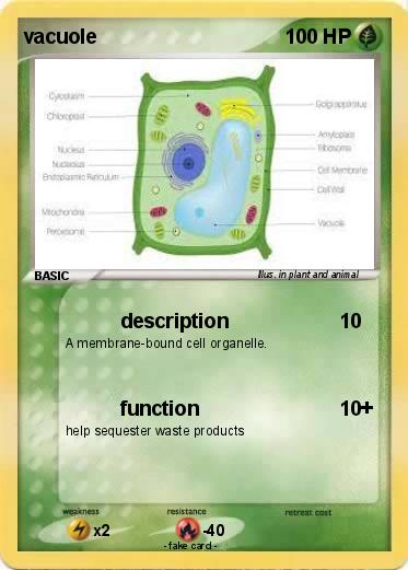 Pokemon vacuole