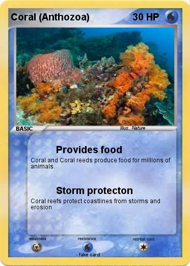 Pokemon Coral (Anthozoa)