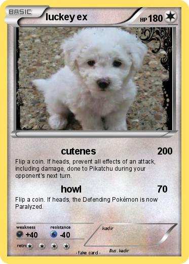Pokemon luckey ex