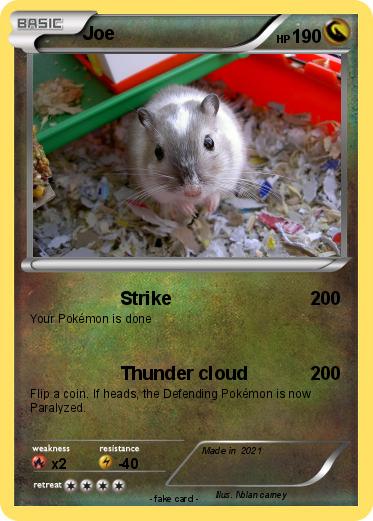 Pokemon Joe