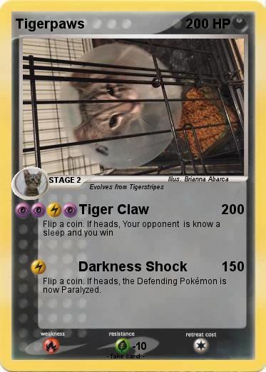 Pokemon Tigerpaws