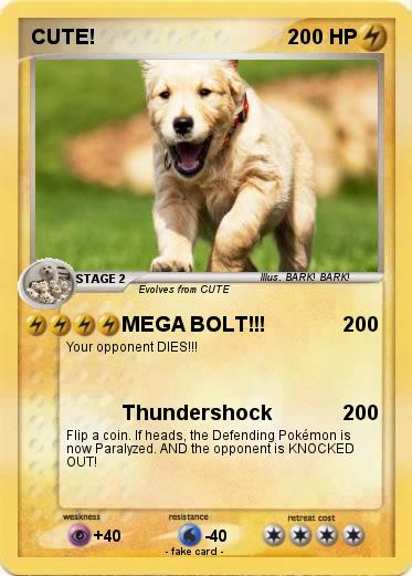 Pokemon CUTE!